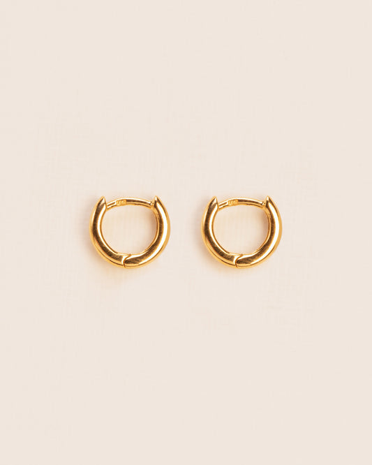 Everyday hoop earrings gold-plated silver
