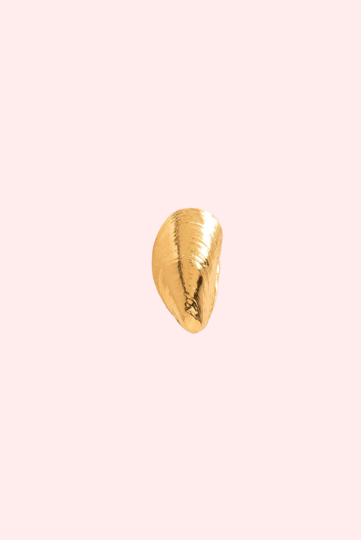Single earring mussel