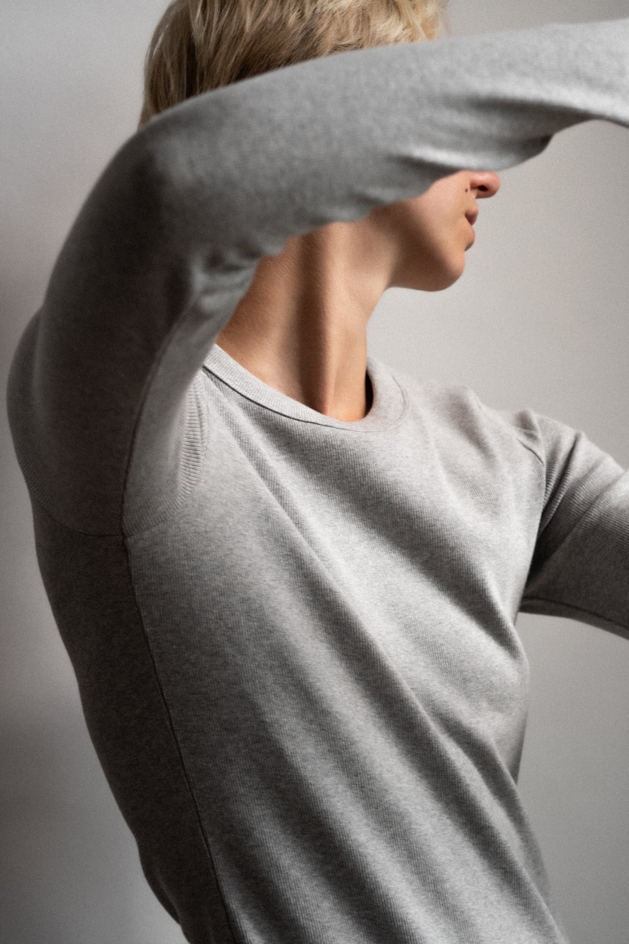 crew-neck longsleeve The Ella grey melange