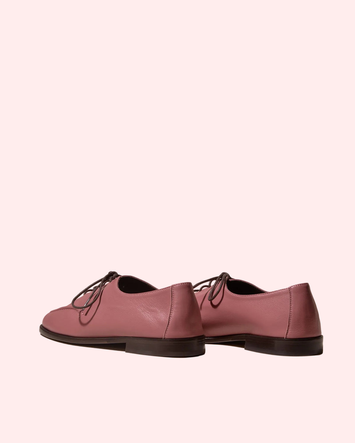 Juliol Lace Up Rose