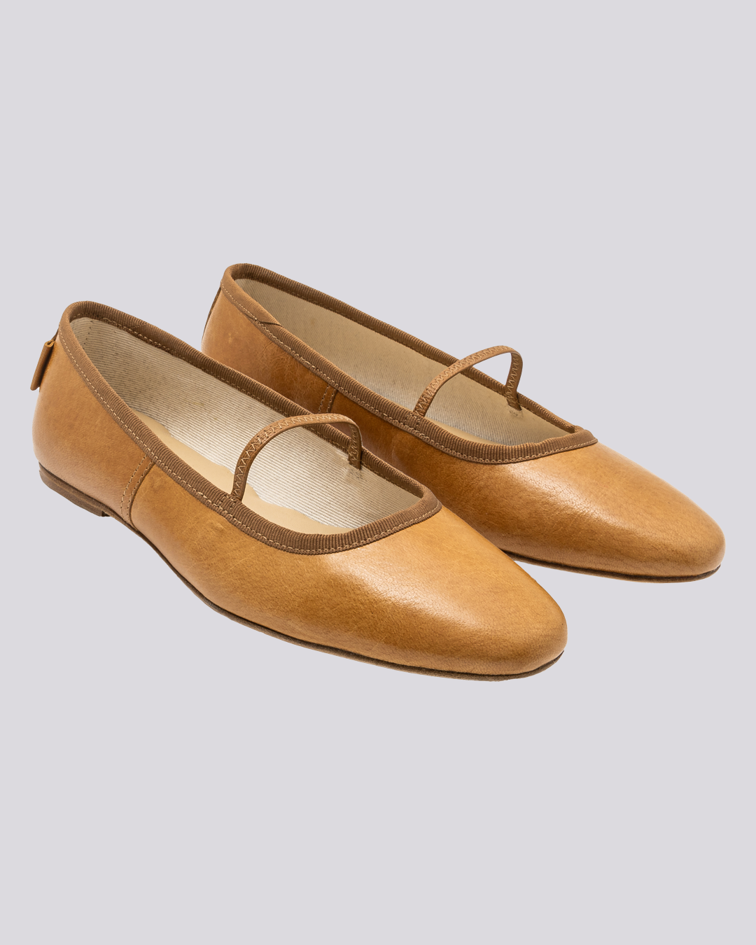 Ballerinas Swan camel