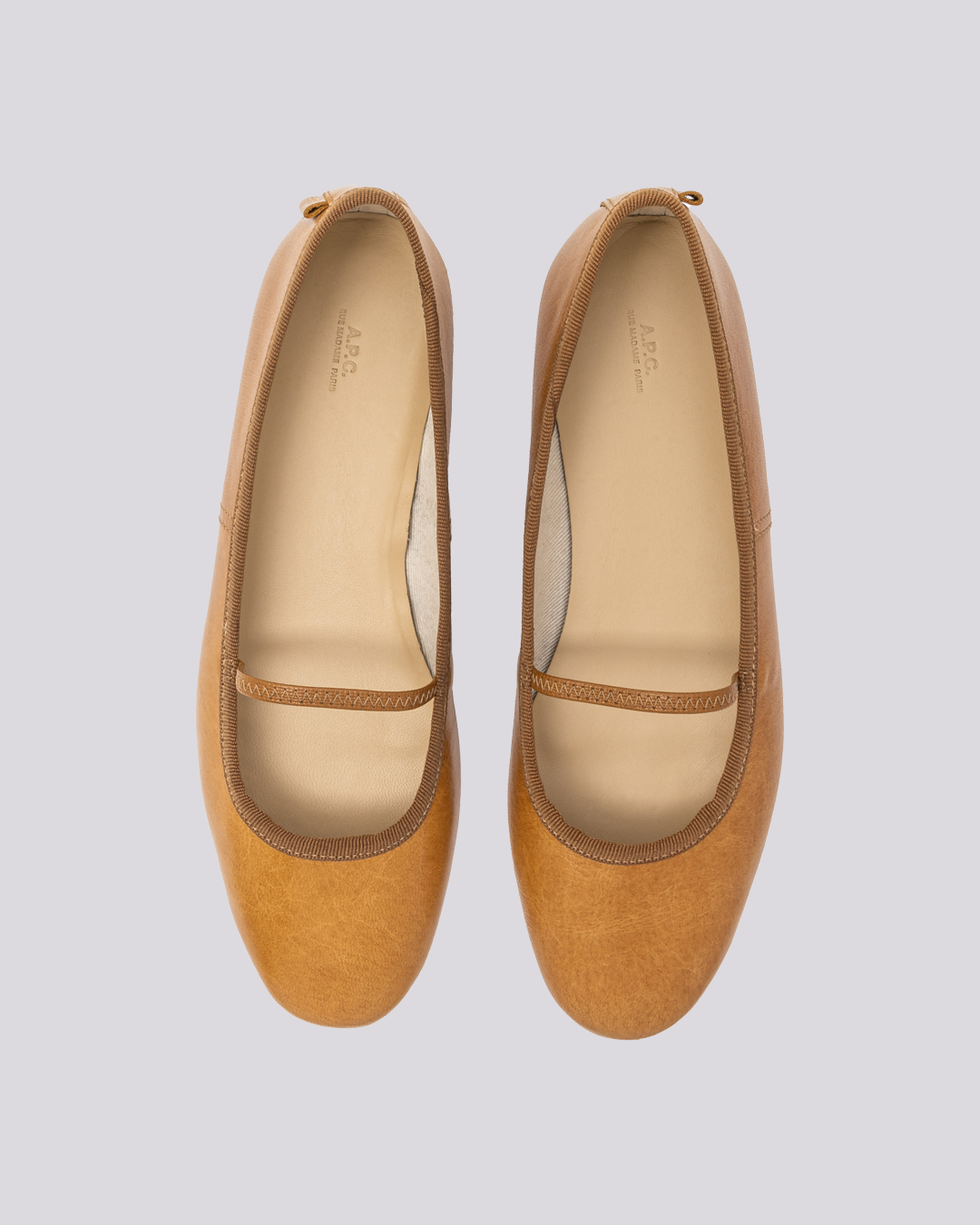 Ballerinas Swan camel