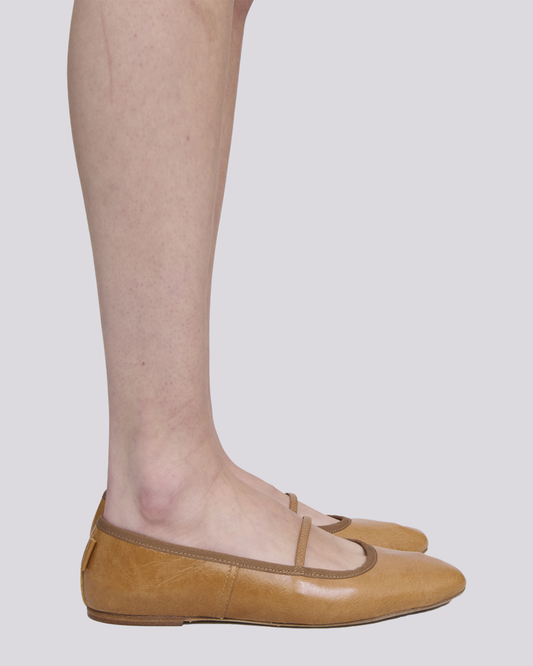 Ballerinas Swan camel