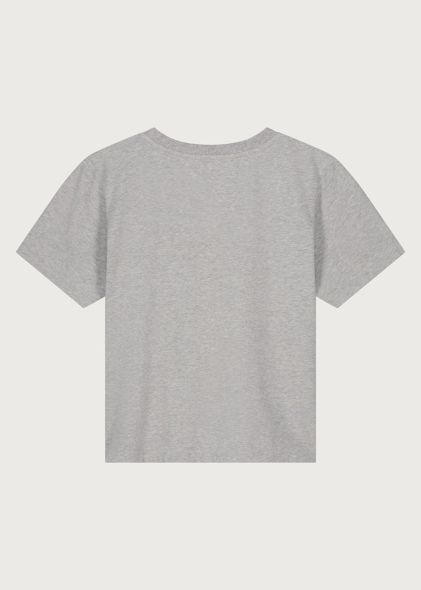 crew-neck t-shirt The Jill grey melange