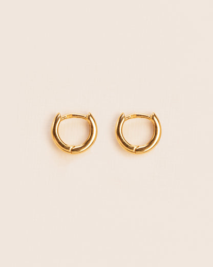 Everyday hoop earrings gold-plated silver