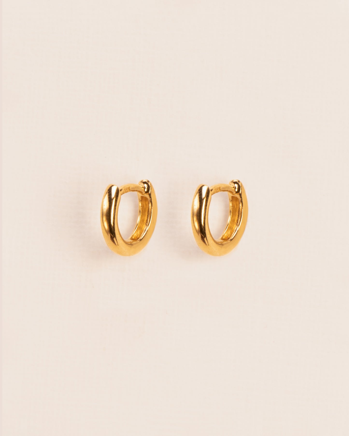 Everyday hoop earrings gold-plated silver