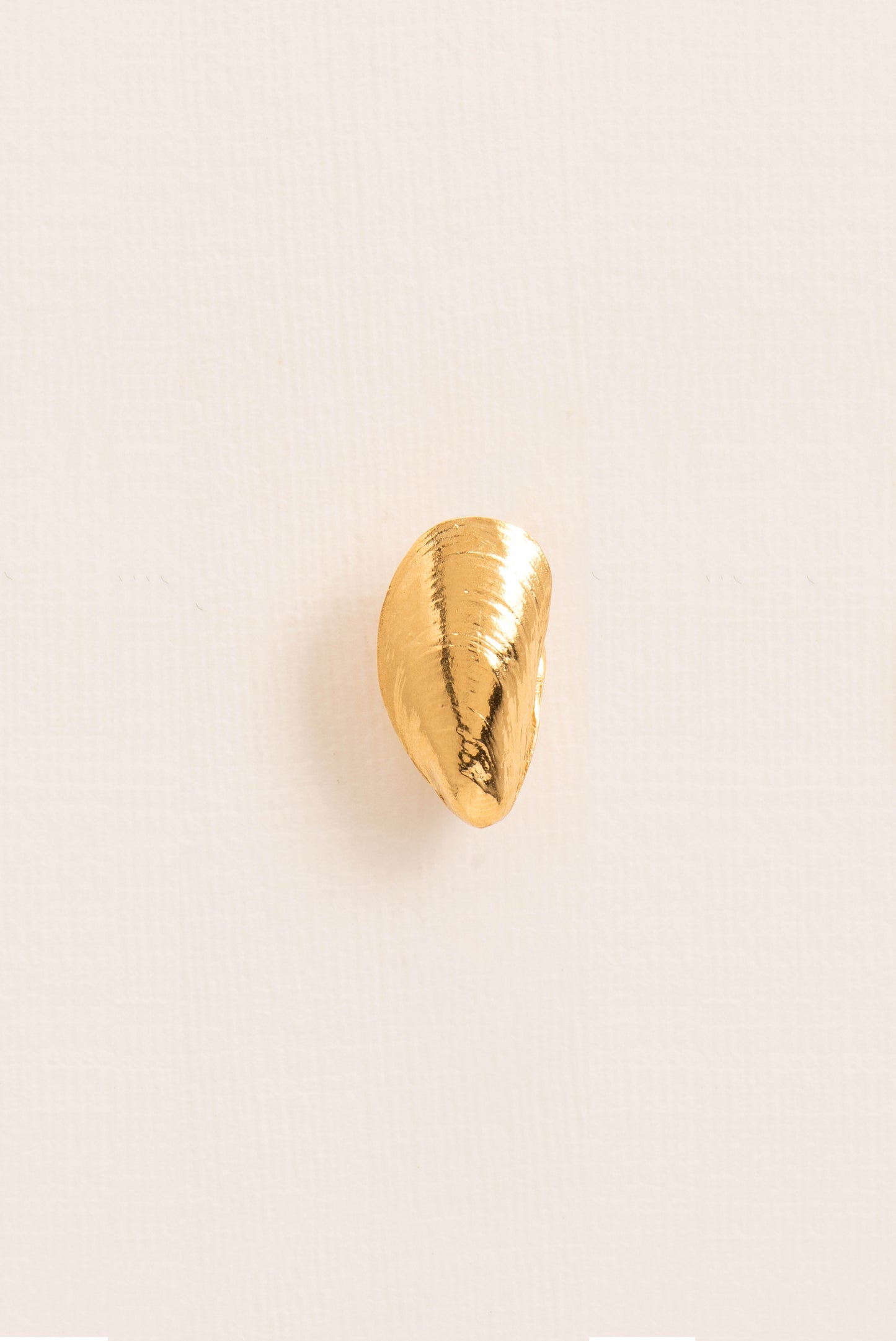 Single earring mussel