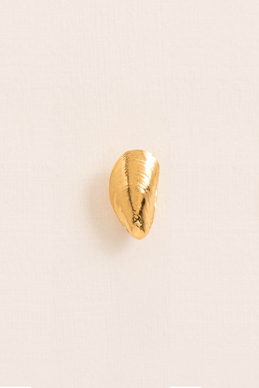 Single earring mussel